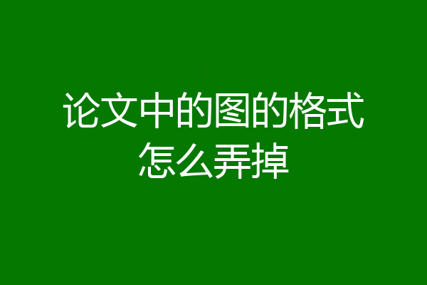 论文中的图的格式怎么弄掉