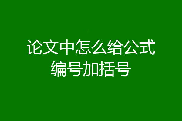 论文中怎么给公式编号加括号
