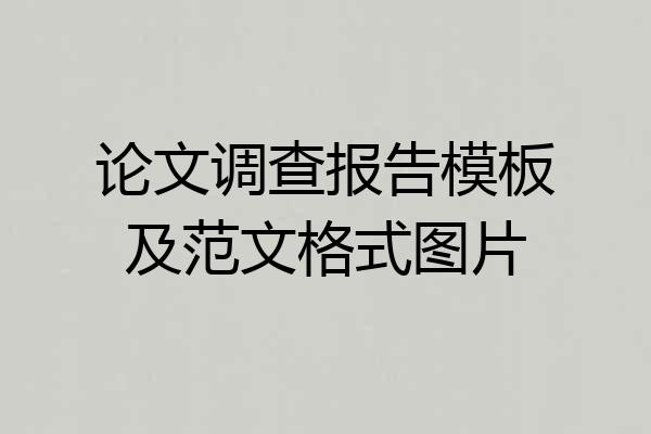 论文调查报告模板及范文格式图片