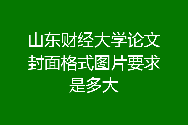 山东财经大学论文封面格式图片要求是多大