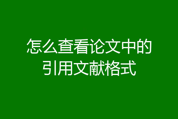 怎么查看论文中的引用文献格式