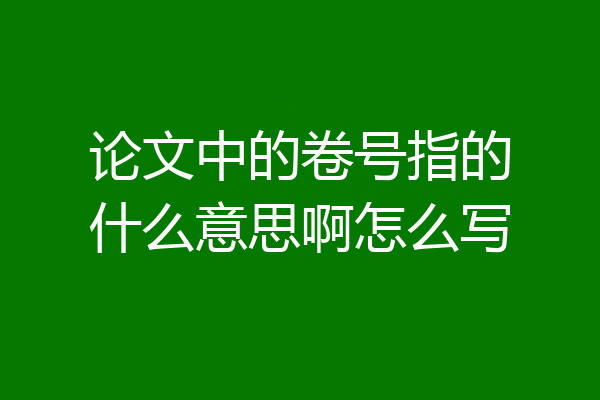 论文中的卷号指的什么意思啊怎么写