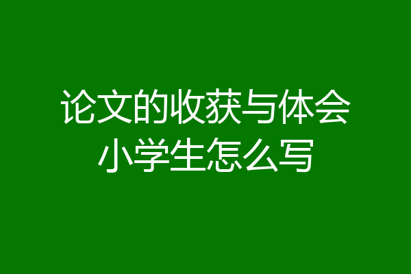 论文的收获与体会小学生怎么写