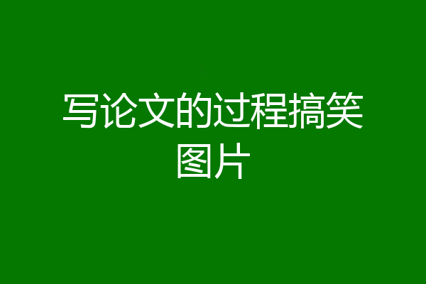 写论文的过程搞笑图片
