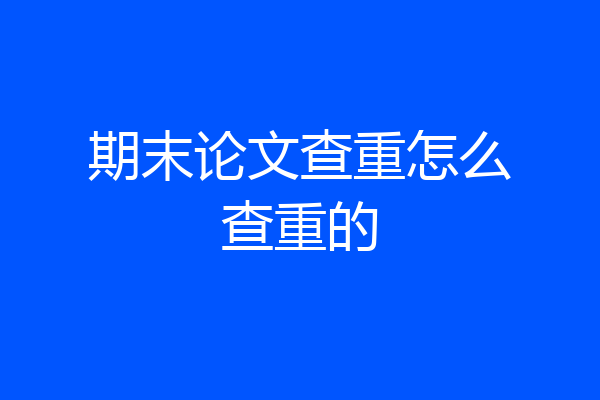 期末论文查重怎么查重的