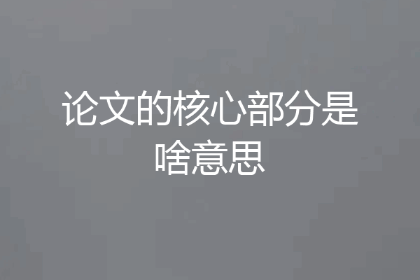 论文的核心部分是啥意思