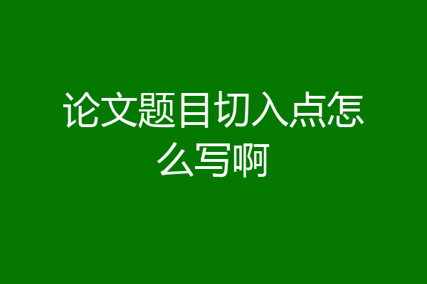 论文题目切入点怎么写啊