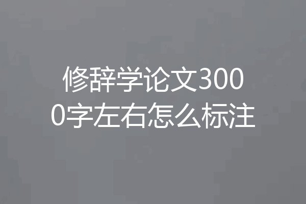 修辞学论文3000字左右怎么标注