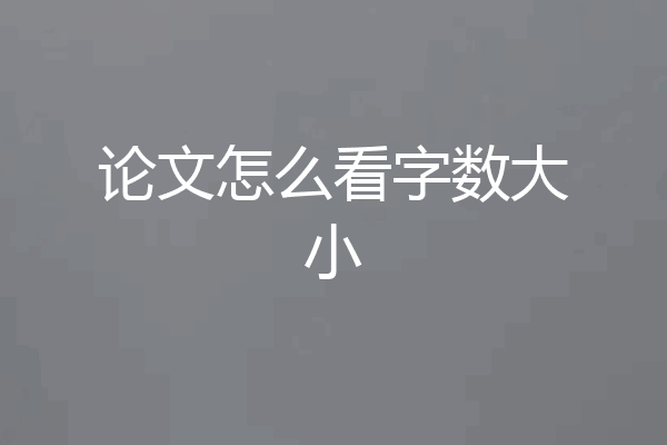 论文怎么看字数大小