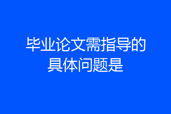 毕业论文需指导的具体问题是