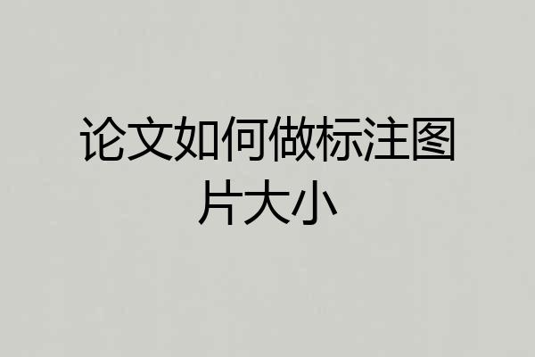 论文如何做标注图片大小