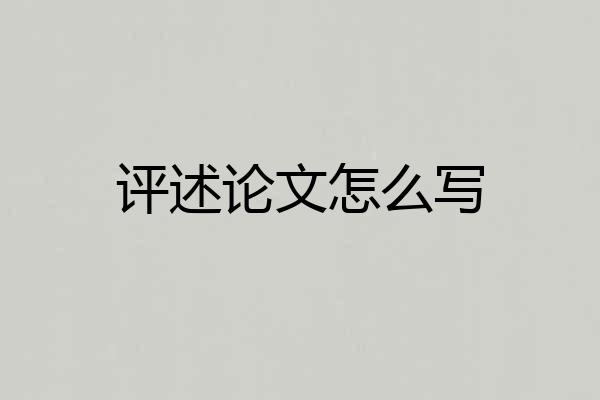 评述论文怎么写