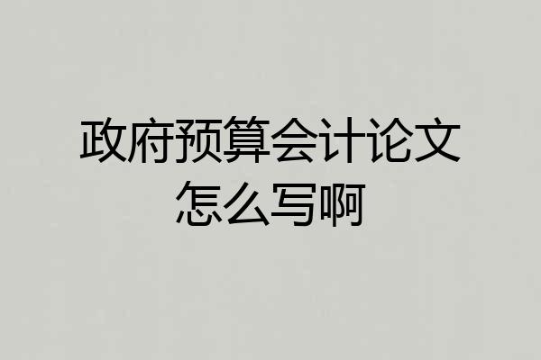 政府预算会计论文怎么写啊