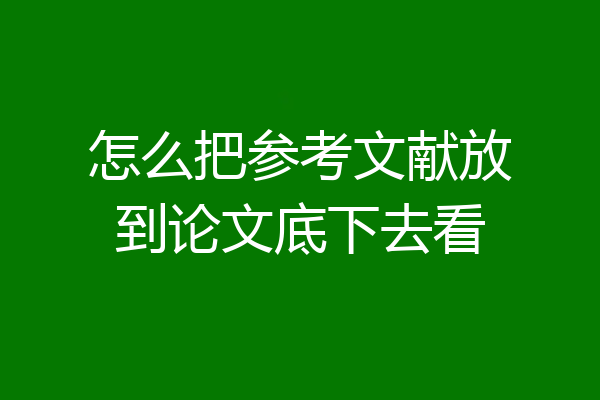 怎么把参考文献放到论文底下去看
