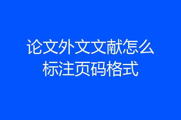 论文外文文献怎么标注页码格式