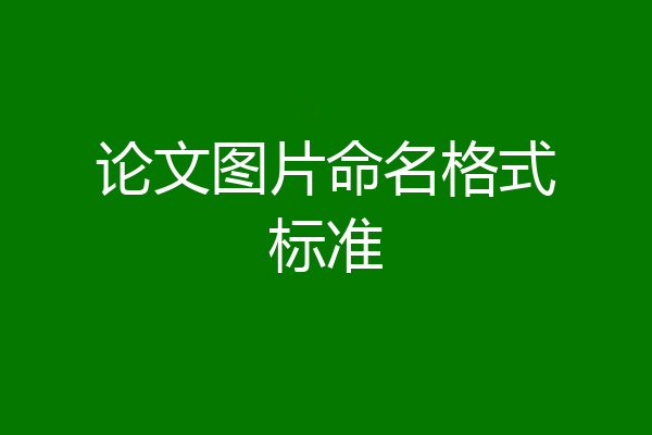 论文图片命名格式标准