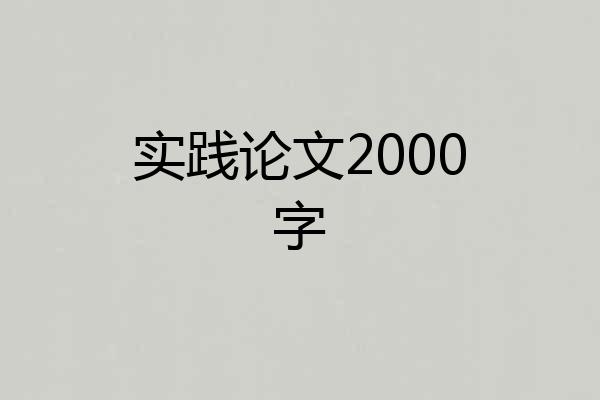 实践论文2000字