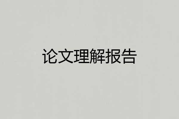 论文理解报告