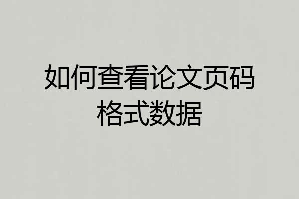 如何查看论文页码格式数据
