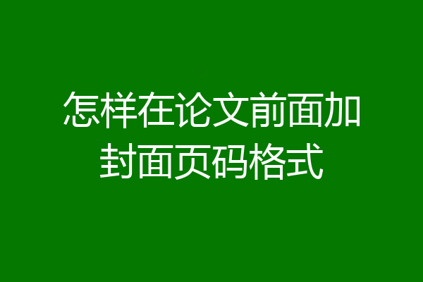 怎样在论文前面加封面页码格式