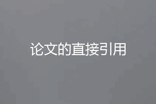 论文的直接引用