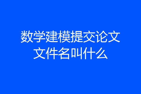 数学建模提交论文文件名叫什么