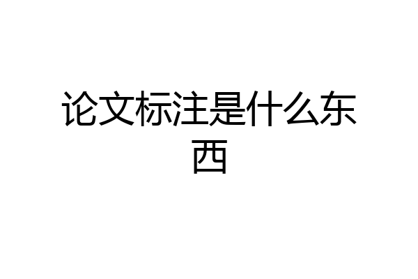 论文标注是什么东西