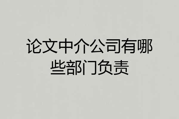 论文中介公司有哪些部门负责