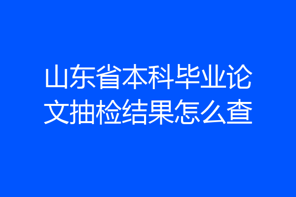 山东省本科毕业论文抽检结果怎么查
