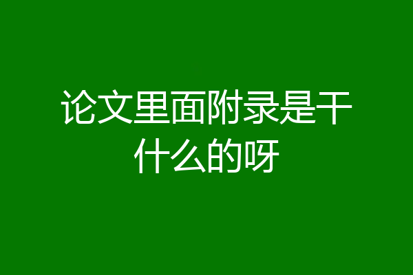 论文里面附录是干什么的呀