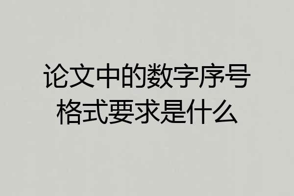 论文中的数字序号格式要求是什么