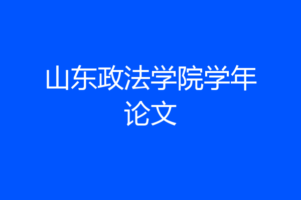 山东政法学院学年论文