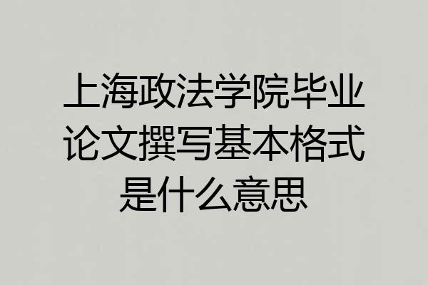上海政法学院毕业论文撰写基本格式是什么意思