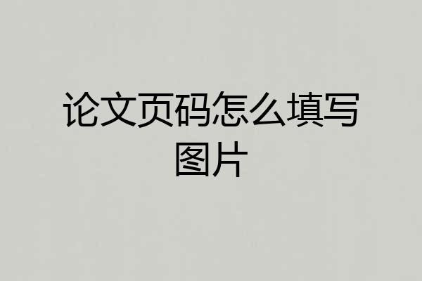 论文页码怎么填写图片