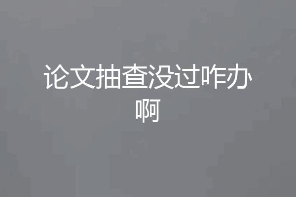 论文抽查没过咋办啊