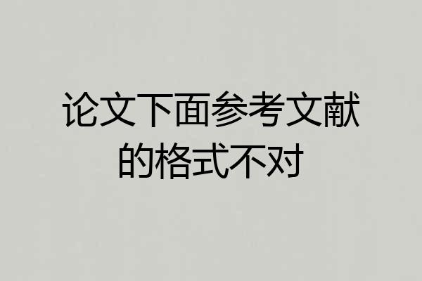 论文下面参考文献的格式不对