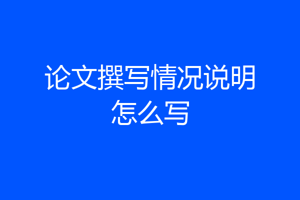 论文撰写情况说明怎么写