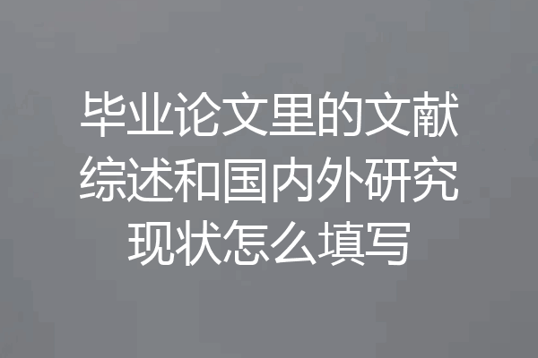 毕业论文里的文献综述和国内外研究现状怎么填写