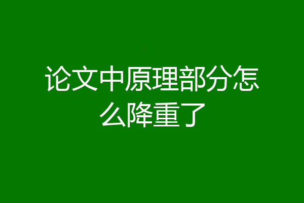 论文中原理部分怎么降重了