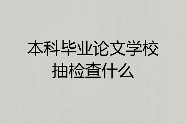 本科毕业论文学校抽检查什么