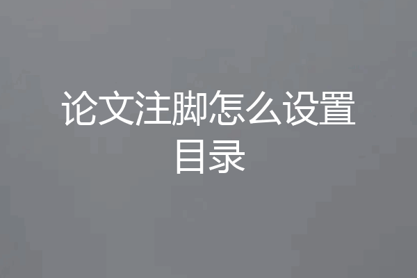 论文注脚怎么设置目录