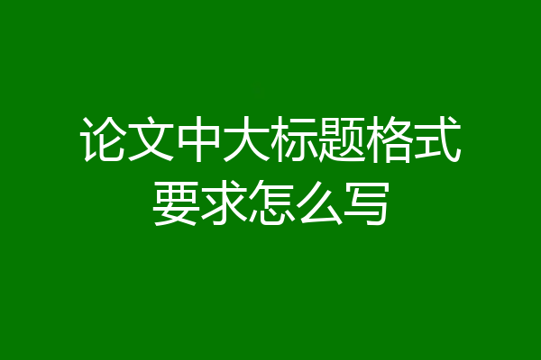 论文中大标题格式要求怎么写