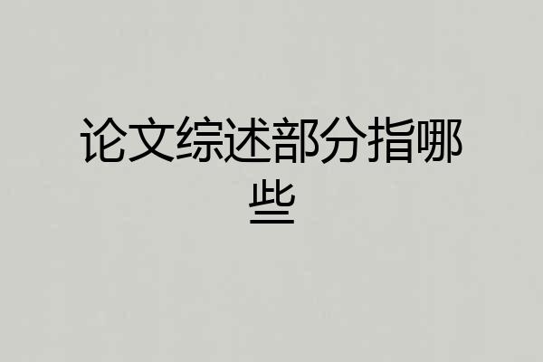 论文综述部分指哪些