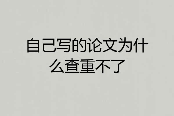 自己写的论文为什么查重不了