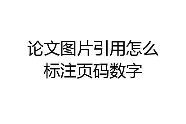 论文图片引用怎么标注页码数字