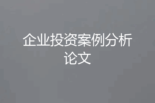企业投资案例分析论文