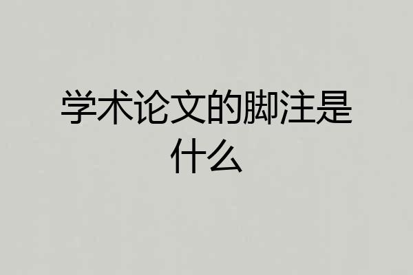 学术论文的脚注是什么