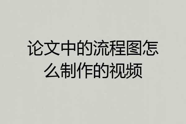 论文中的流程图怎么制作的视频