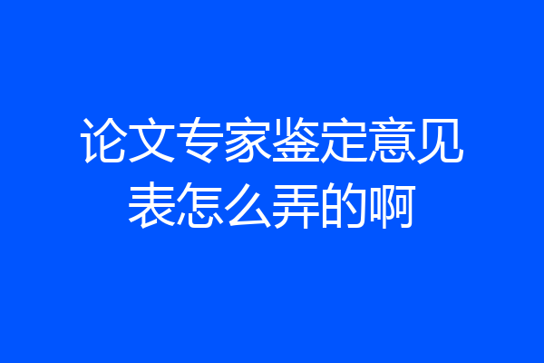 论文专家鉴定意见表怎么弄的啊