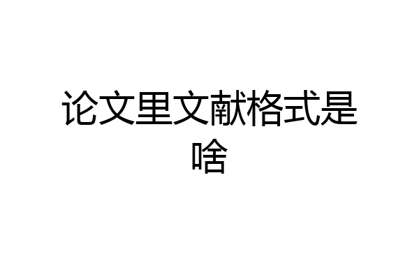 论文里文献格式是啥